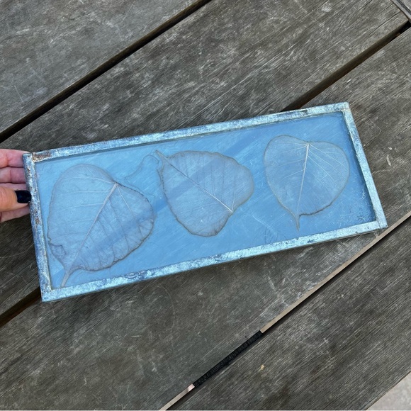 Dried Skeleton Leaves Pressed in Glass Framed Skeletonized Leaves Clear Glass - Picture 8 of 12